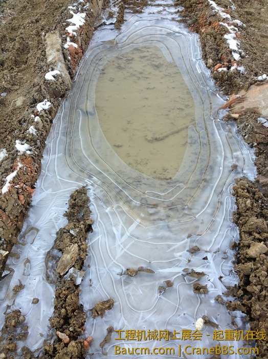 nEO_IMG_毛毛 576.jpg