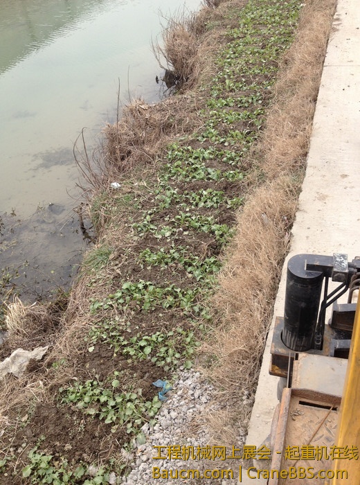 nEO_IMG_毛毛 692.jpg