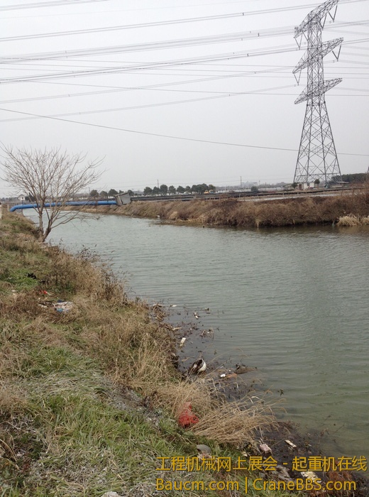 nEO_IMG_毛毛 645.jpg