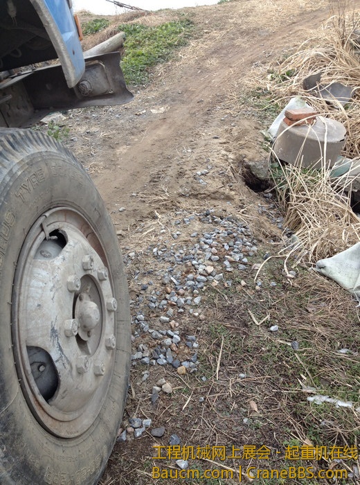 nEO_IMG_毛毛 654.jpg