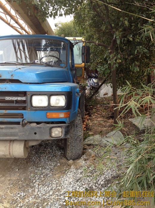 nEO_IMG_毛毛 655.jpg