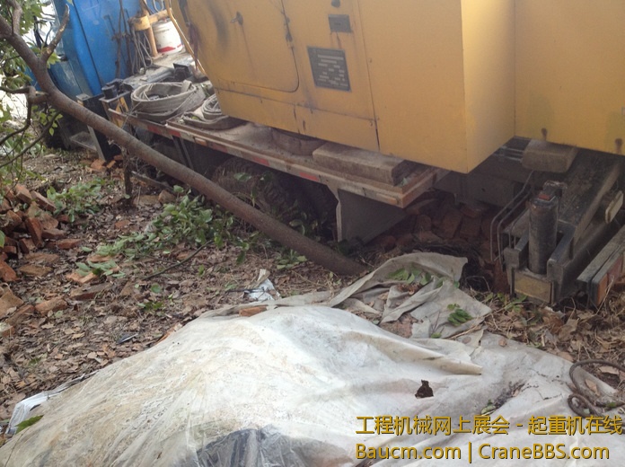 nEO_IMG_毛毛 662.jpg