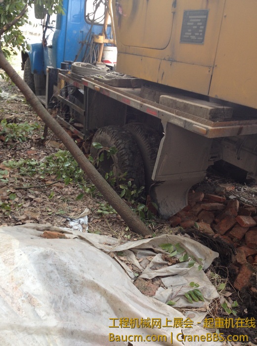 nEO_IMG_毛毛 664.jpg