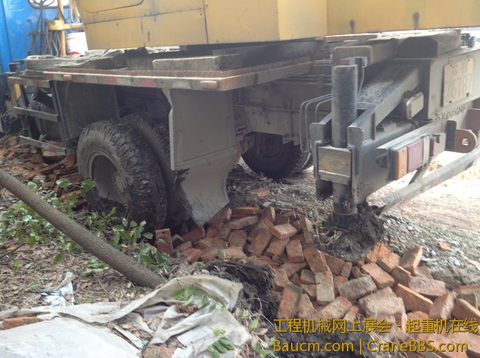 nEO_IMG_毛毛 666.jpg