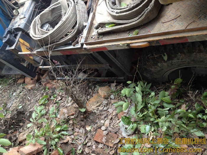 nEO_IMG_毛毛 657.jpg