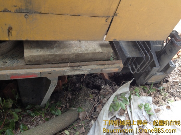 nEO_IMG_毛毛 658.jpg