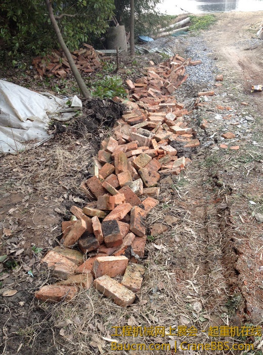 nEO_IMG_毛毛 667.jpg