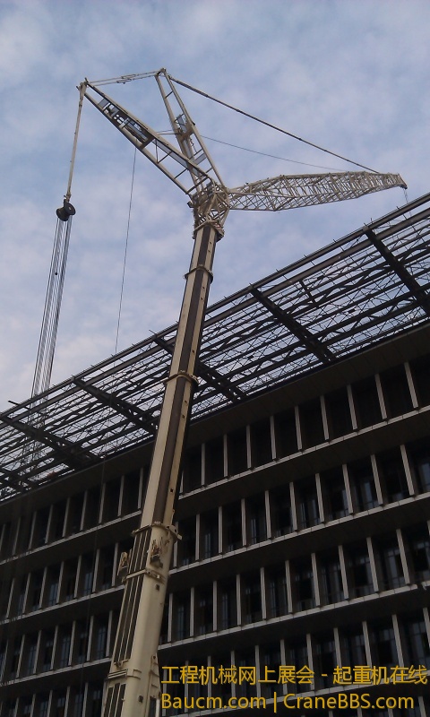 IMAG0042.jpg