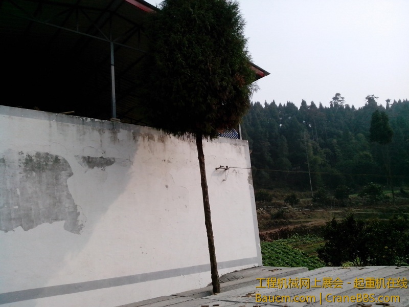 IMG_20130111_124750.jpg