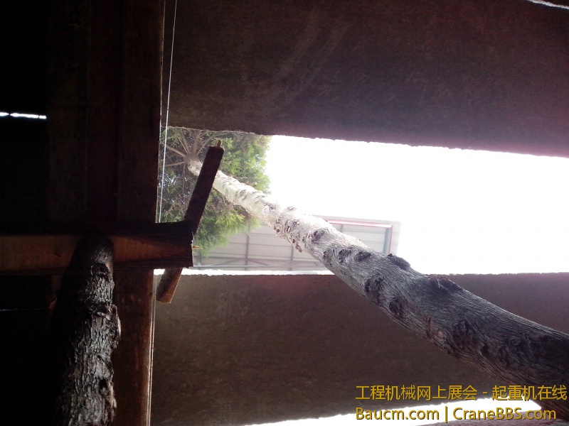 IMG_20130111_131513.jpg