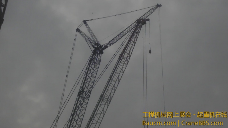 IMAG0485.jpg