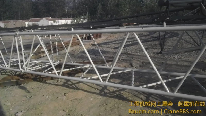 IMAG0493.jpg
