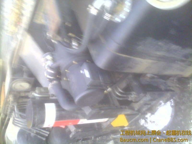 IMG2869A.jpg