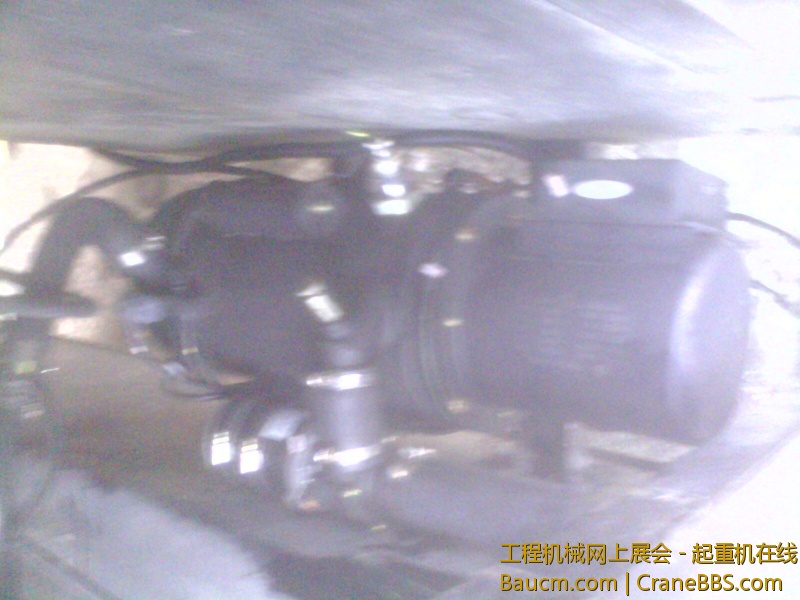 IMG2877A.jpg