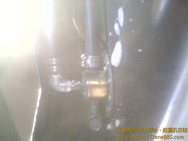 IMG2879A.jpg
