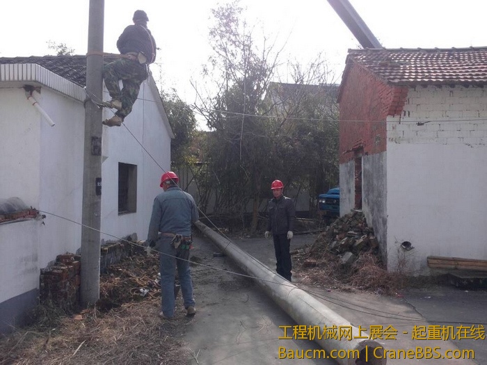 nEO_IMG_毛毛 239.jpg