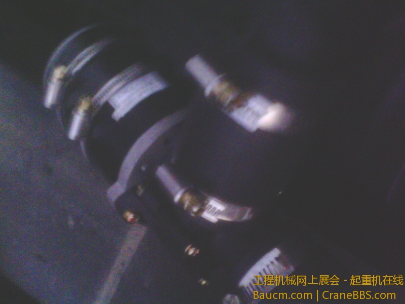 IMG2875A.jpg