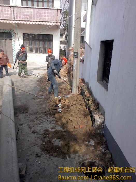 nEO_IMG_毛毛 249.jpg