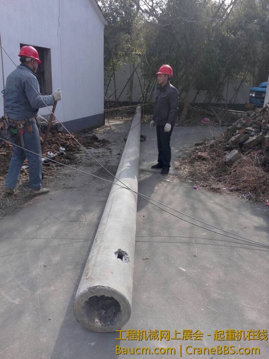 nEO_IMG_毛毛 250.jpg