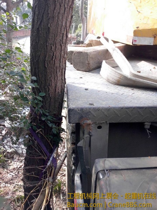 nEO_IMG_毛毛 241.jpg