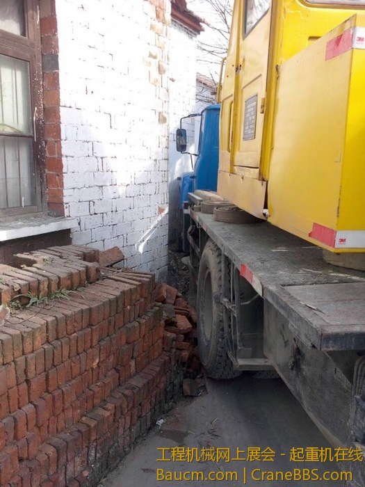 nEO_IMG_毛毛 256.jpg