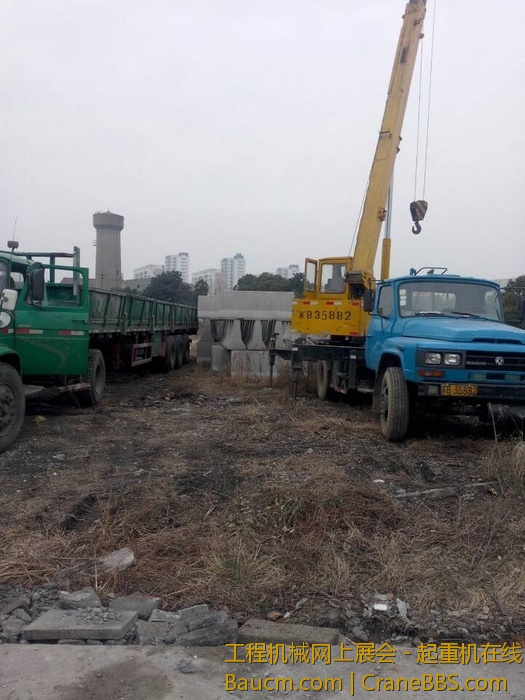 nEO_IMG_毛毛 317.jpg