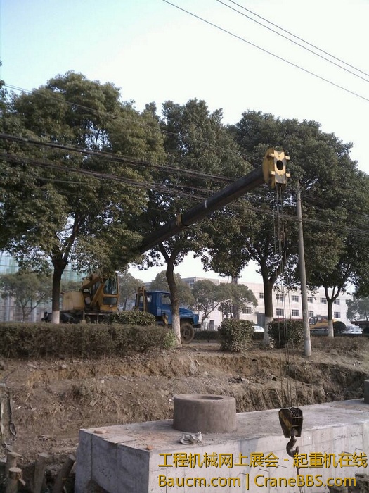 nEO_IMG_毛毛 466.jpg