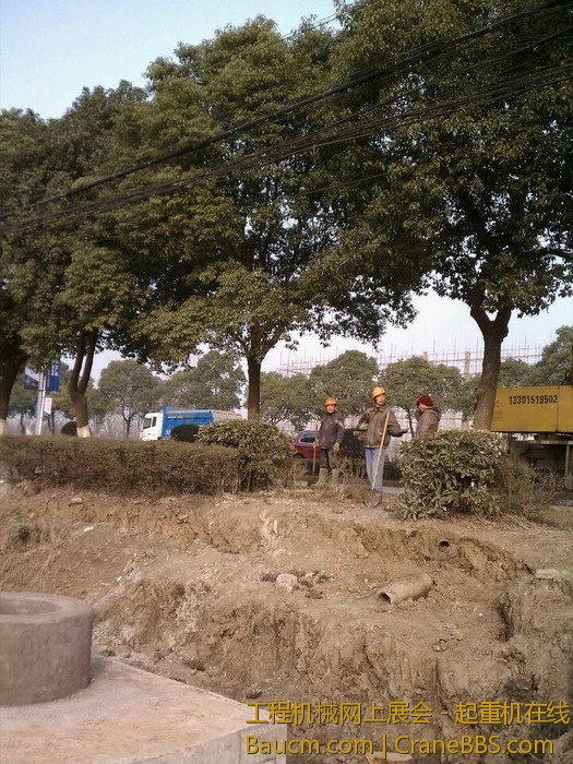 nEO_IMG_毛毛 468.jpg