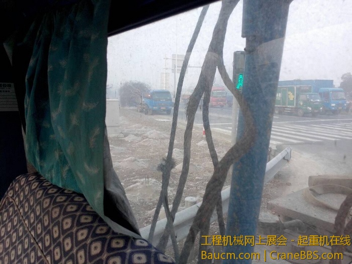 nEO_IMG_毛毛 514.jpg