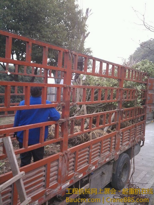 nEO_IMG_毛毛 515.jpg