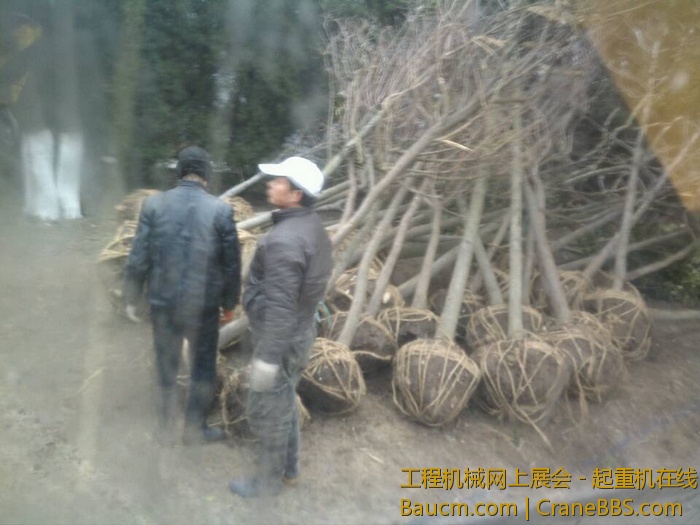 nEO_IMG_毛毛 513.jpg