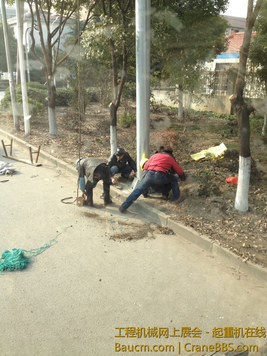 nEO_IMG_毛毛 437.jpg