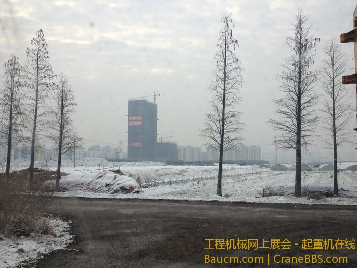 nEO_IMG_毛毛 282.jpg