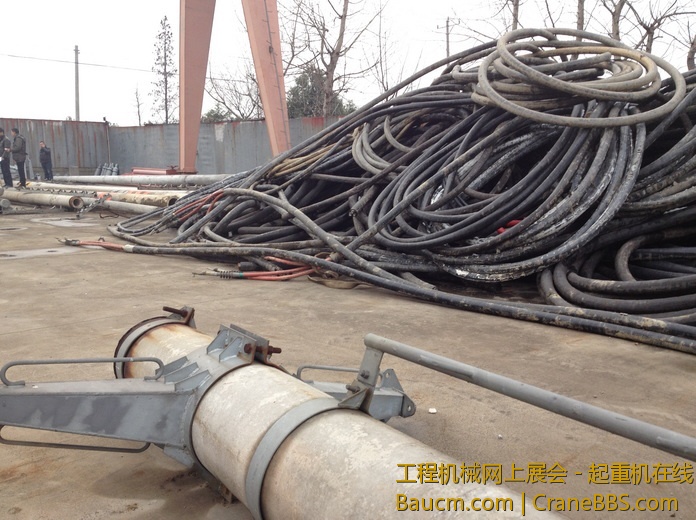 nEO_IMG_毛毛 291.jpg