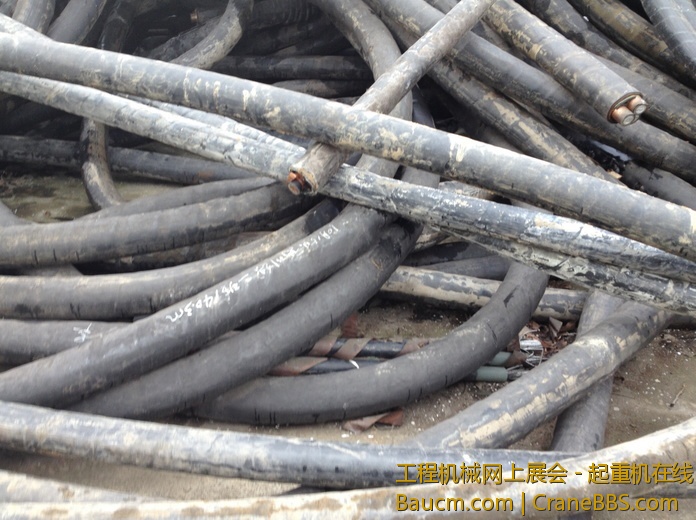 nEO_IMG_毛毛 292.jpg