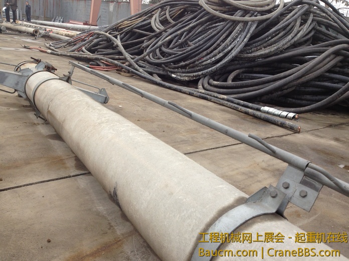 nEO_IMG_毛毛 290.jpg