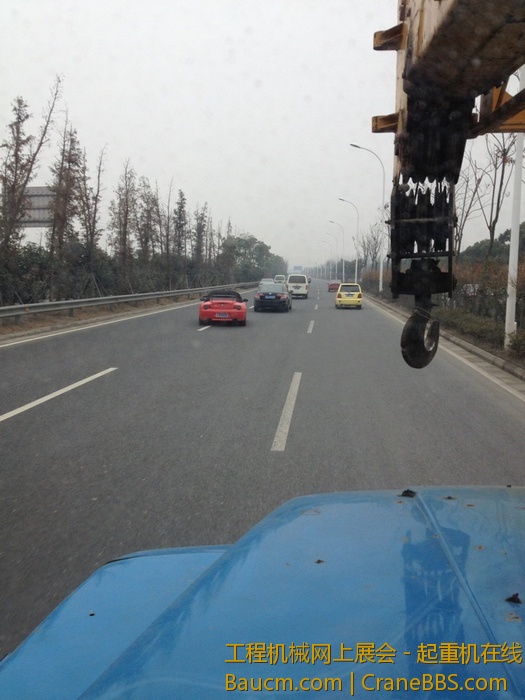 nEO_IMG_毛毛 336.jpg