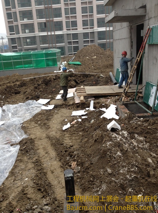 nEO_IMG_毛毛 341.jpg