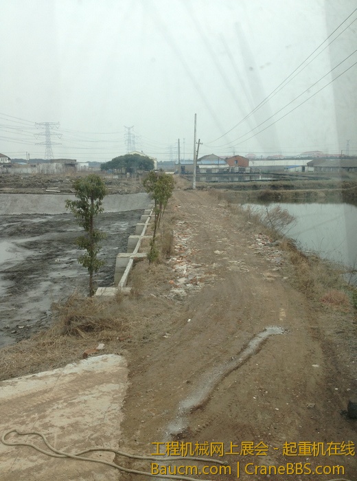 nEO_IMG_毛毛 300.jpg