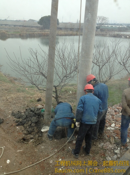 nEO_IMG_毛毛 301.jpg