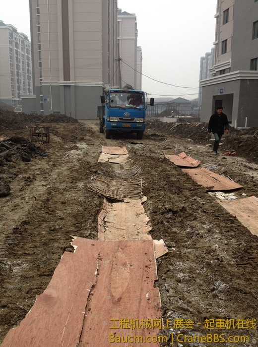 nEO_IMG_毛毛 343.jpg