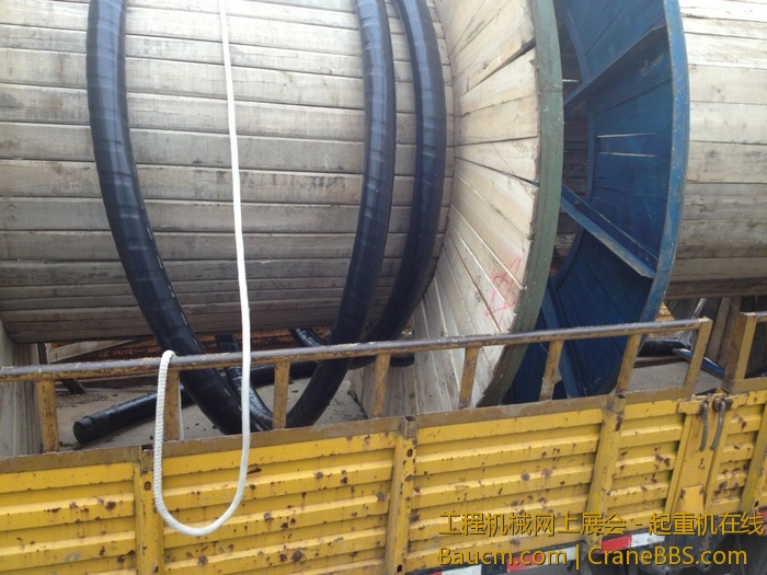 nEO_IMG_毛毛 362.jpg