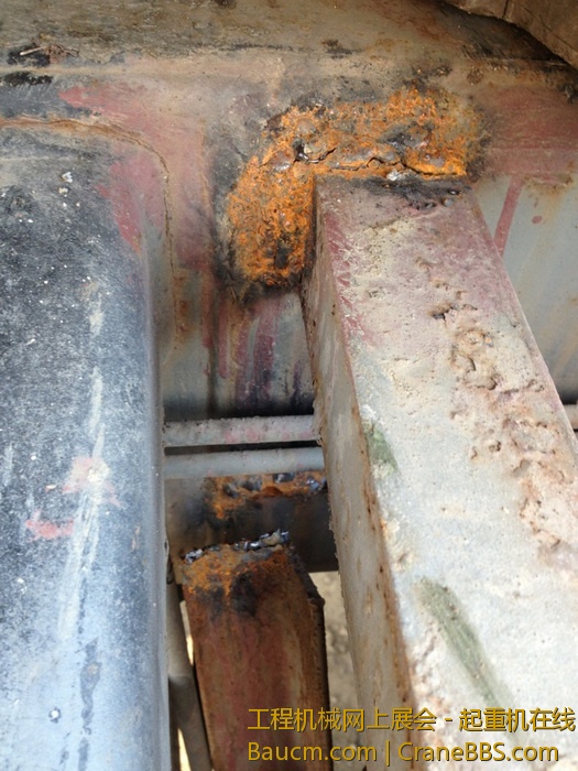 nEO_IMG_毛毛 387.jpg