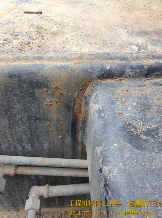 nEO_IMG_毛毛 351.jpg