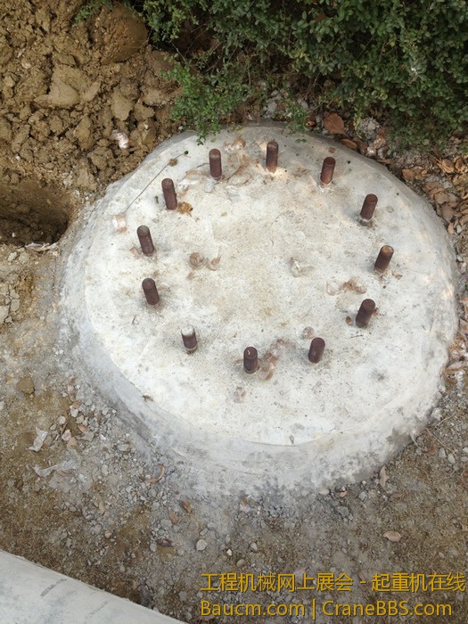 nEO_IMG_毛毛 444.jpg