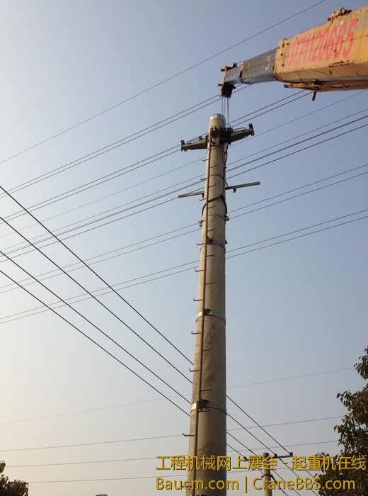 nEO_IMG_毛毛 449.jpg