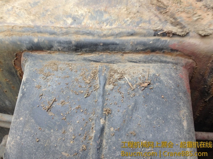 nEO_IMG_毛毛 352.jpg