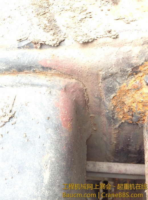 nEO_IMG_毛毛 353.jpg