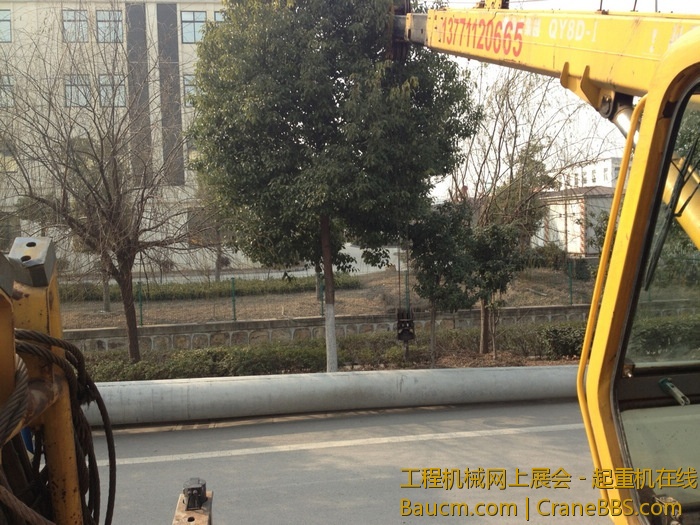 nEO_IMG_毛毛 443.jpg