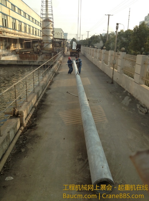 nEO_IMG_毛毛 454.jpg